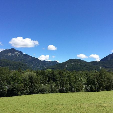 Bergblick Lägenhet Golling an der Salzach Exteriör bild