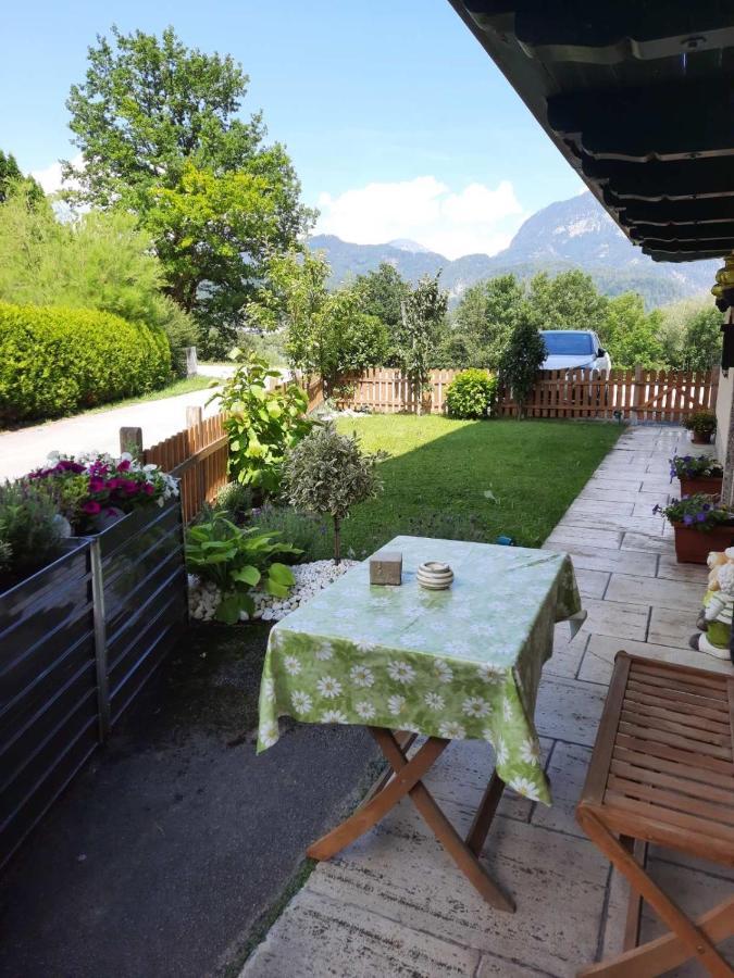 Bergblick Lägenhet Golling an der Salzach Exteriör bild