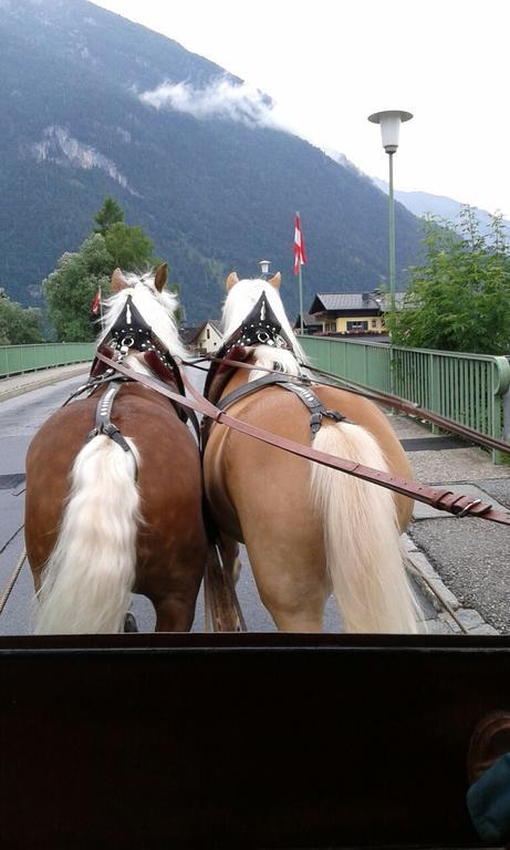 Bergblick Lägenhet Golling an der Salzach Exteriör bild