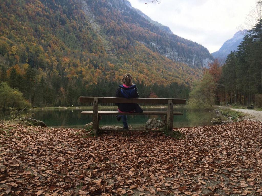 Bergblick Lägenhet Golling an der Salzach Exteriör bild