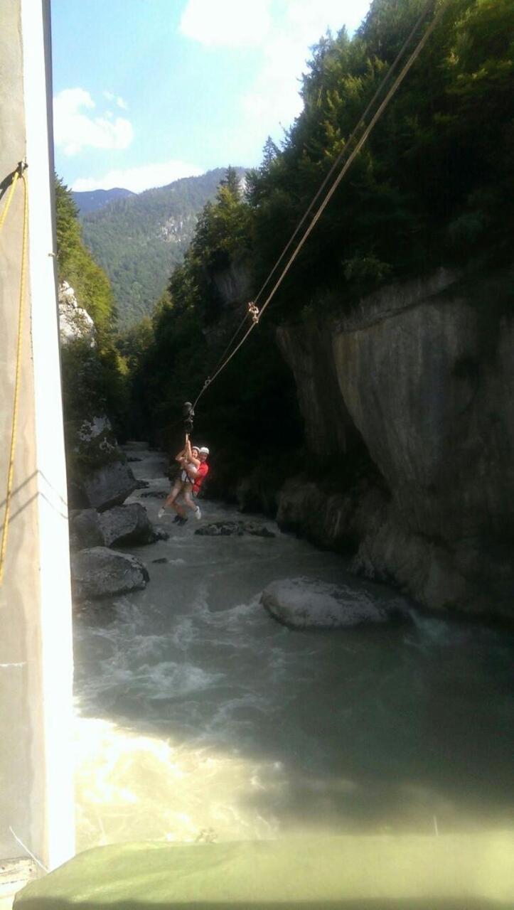 Bergblick Lägenhet Golling an der Salzach Exteriör bild