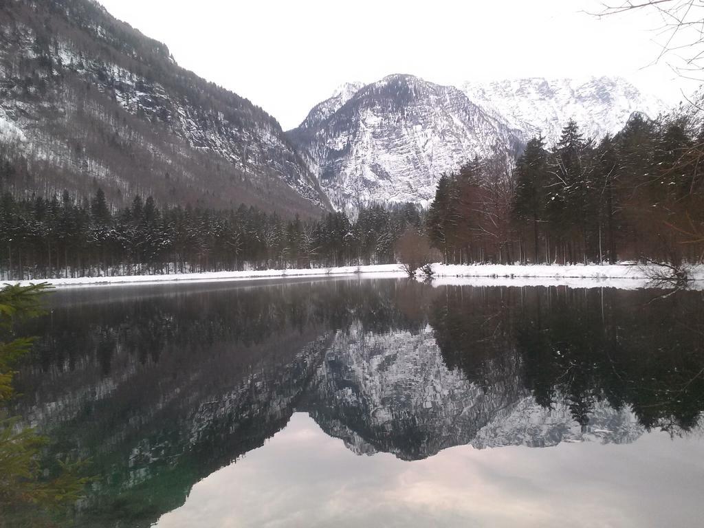 Bergblick Lägenhet Golling an der Salzach Exteriör bild