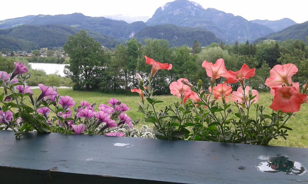 Bergblick Lägenhet Golling an der Salzach Exteriör bild