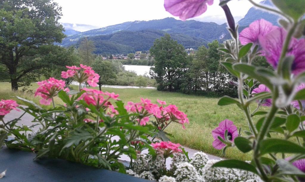 Bergblick Lägenhet Golling an der Salzach Exteriör bild