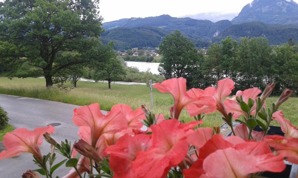 Bergblick Lägenhet Golling an der Salzach Exteriör bild